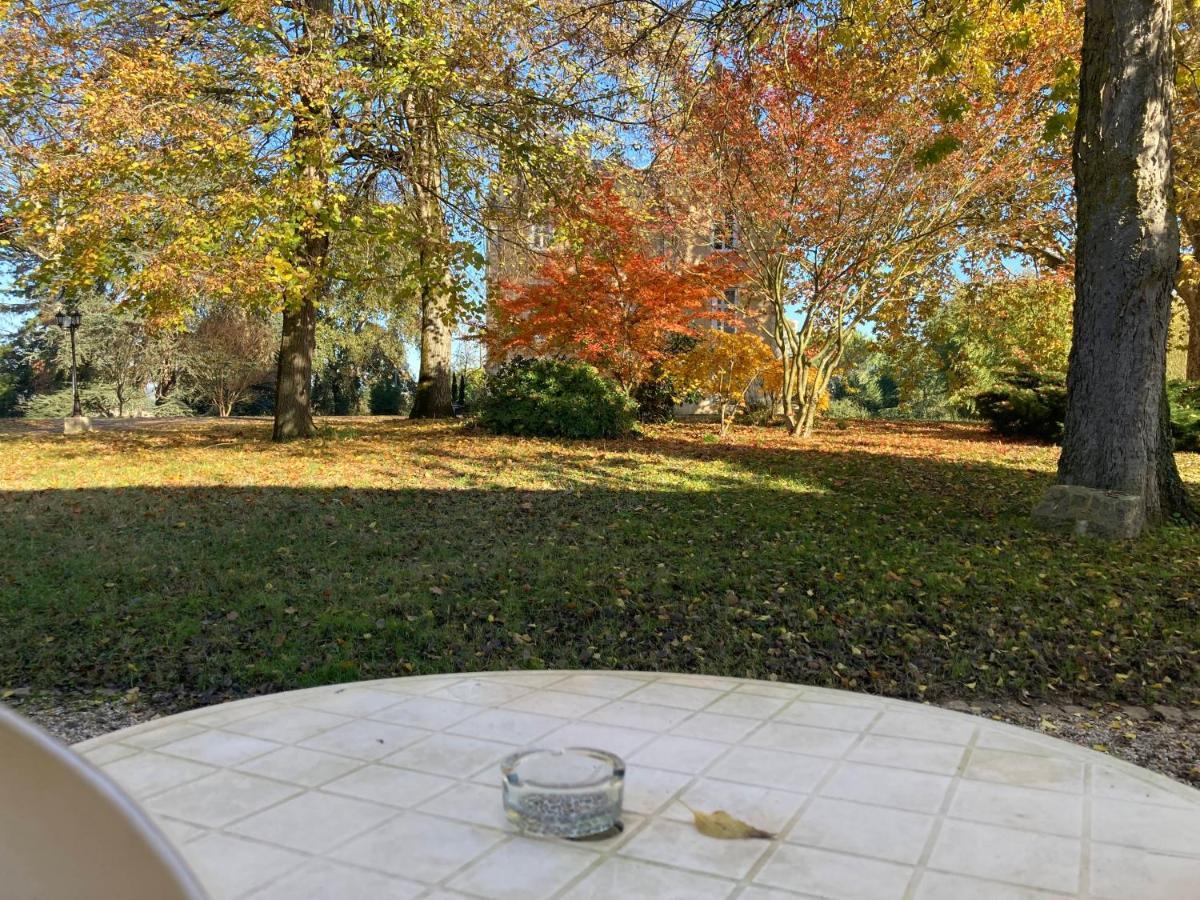 Orangerie Du Chateau Marith - Domaine Avec Piscine Clairac  Habitación foto